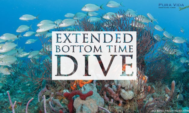 JUNE 24: EXTENDED BOTTOM TIME TECH DIVE