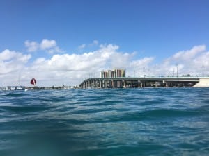 Blue Heron Bridge 2018