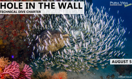 AUGUST 5: HOLE IN THE WALL – TECH DIVE CHARTER