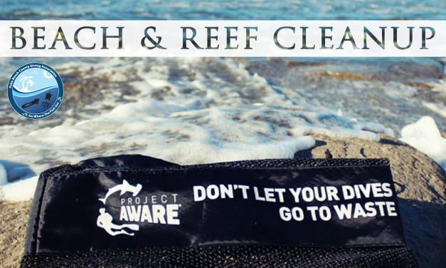 BEACH & REEF CLEANUP