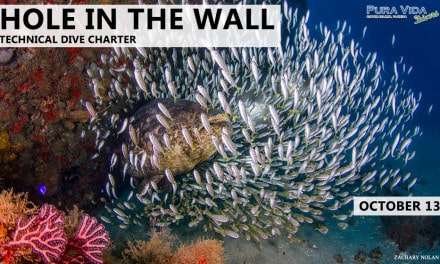 OCT 13: HOLE IN THE WALL TEC CHARTER