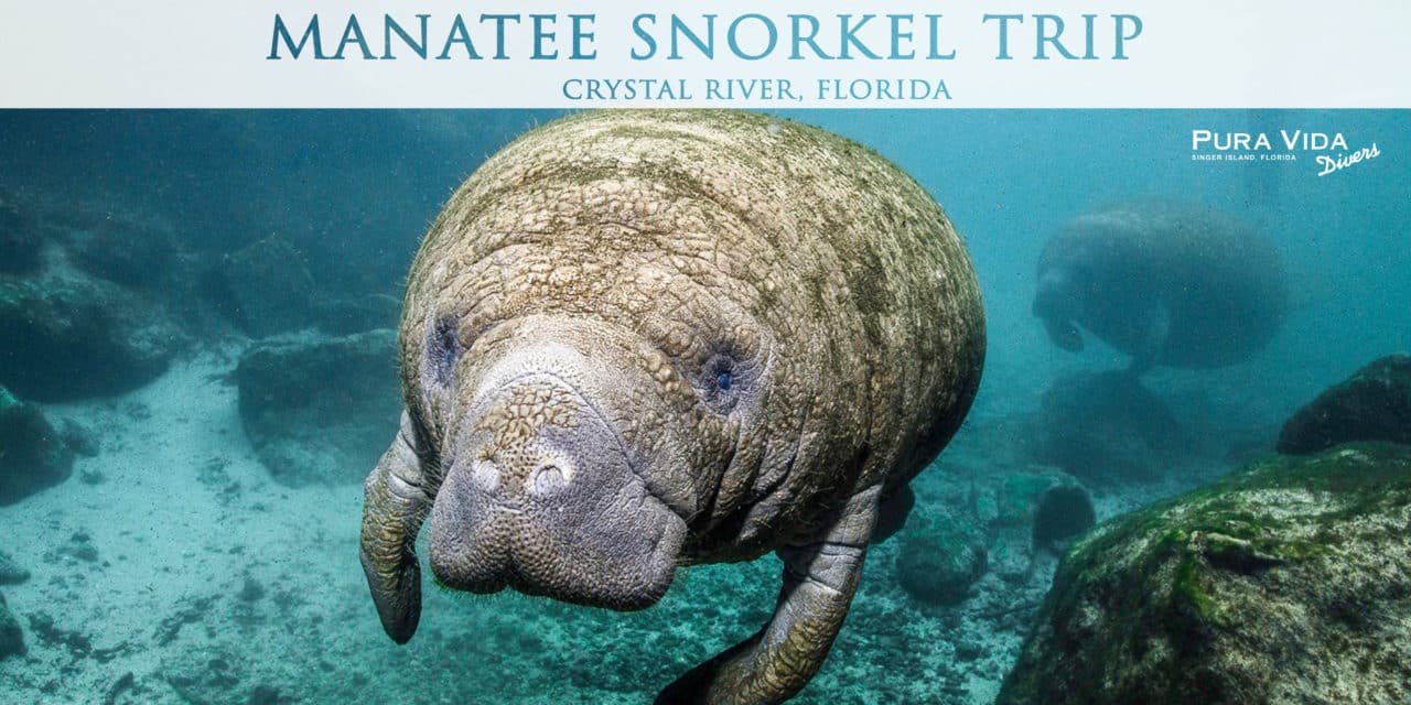 2019 MANATEE TRIP