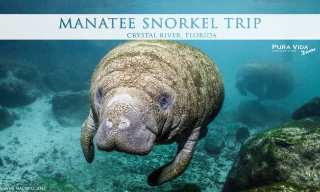 2019 MANATEE TRIP