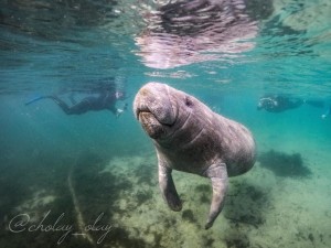 Photo by Nichole Jackson