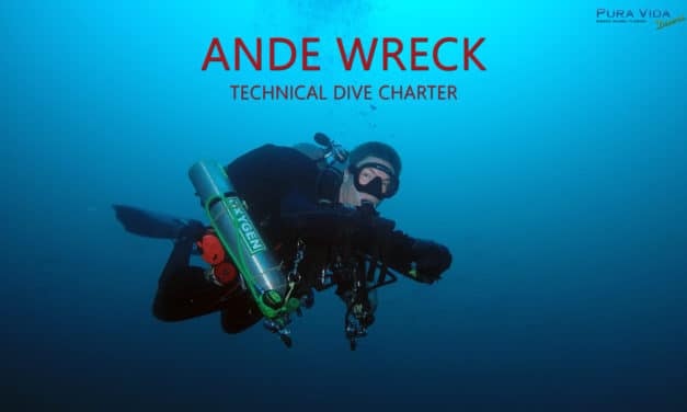ANDE TEC CHARTER
