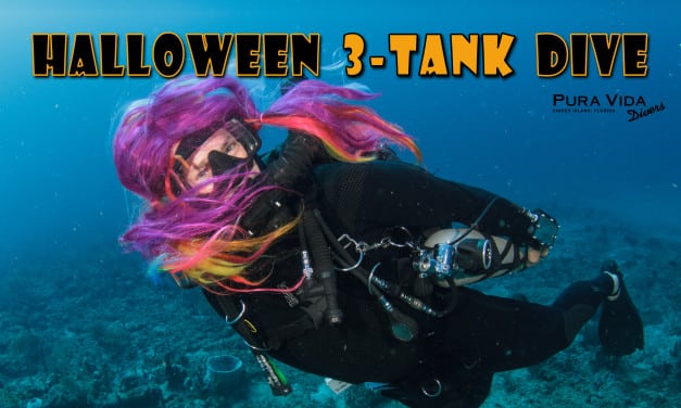 OCT 28: HALLLOWEEN 3-TANK COSTUME DIVE