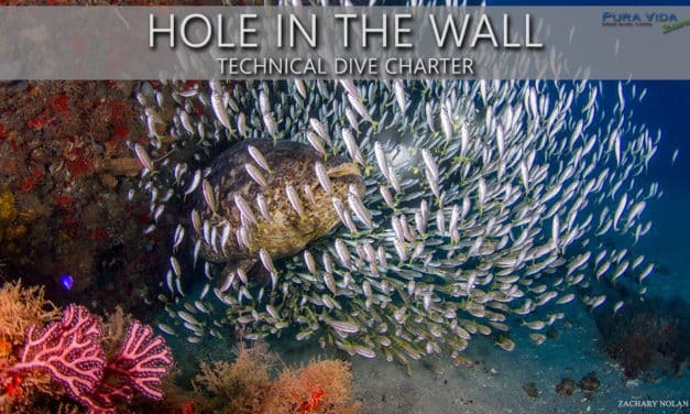 HOLE IN THE WALL TEC CHARTERS