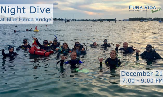 DEC 21:  NIGHT DIVE AT BLUE HERON BRIDGE