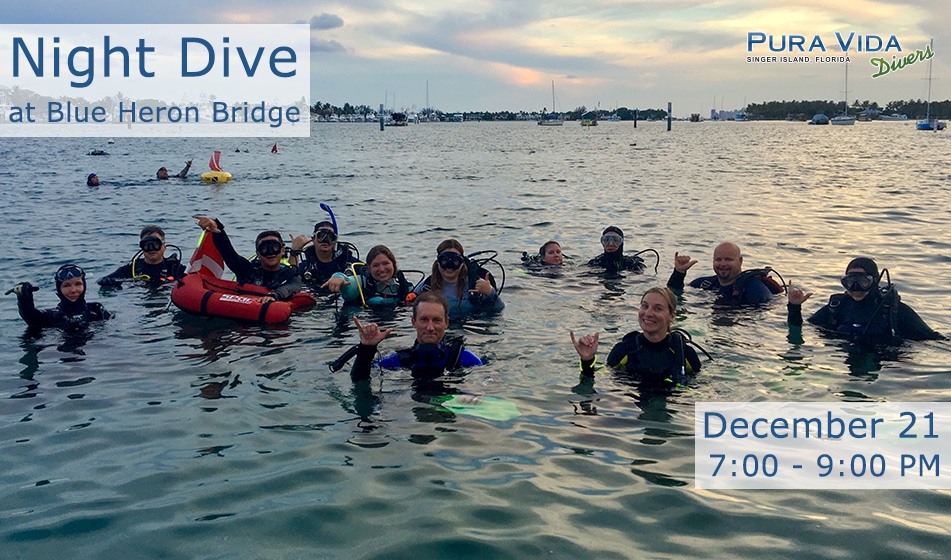 DEC 21:  NIGHT DIVE AT BLUE HERON BRIDGE