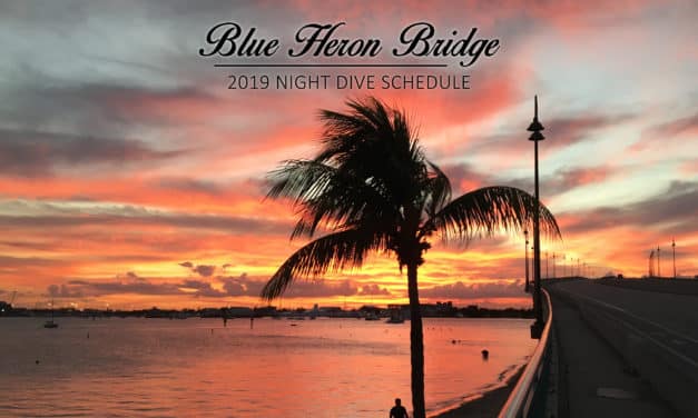 2019 BLUE HERON BRIDGE NIGHT DIVE SCHEDULE