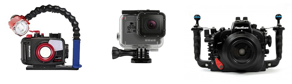 Underwater Photography Gear Underwater Photography Gear