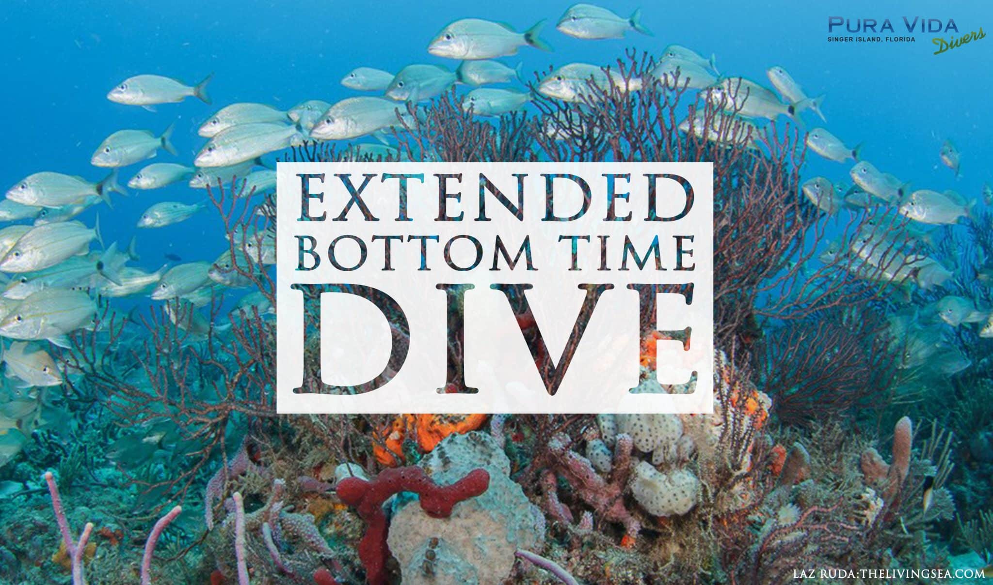 JAN 13: EXTENDED BOTTOM TIME DIVE
