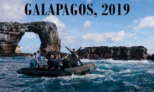 GALAPAGOS 2019!