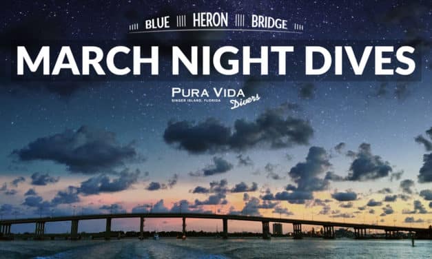 MARCH GUIDED NIGHT DIVES AT BLUE HERON BRIDGE