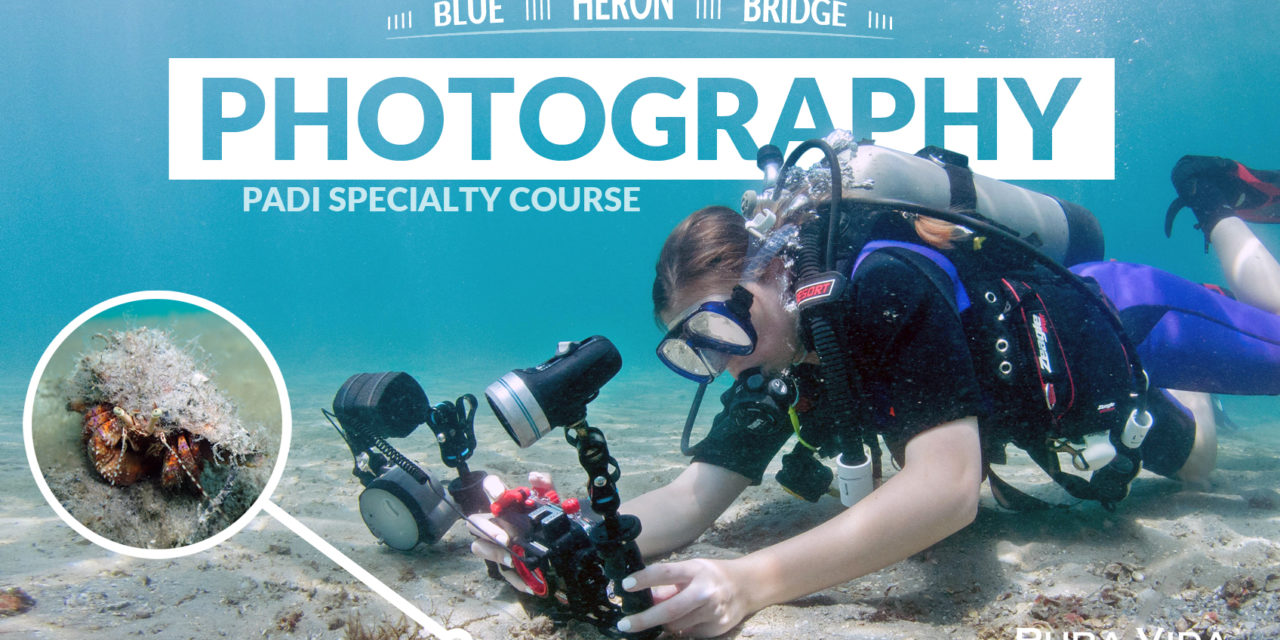 PADI UNDERWATER PHOTOGRAPHY SPECIALTY