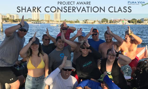 SHARK CONSERVATION CLASS