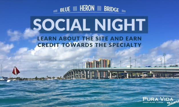 MARCH SOCIAL NIGHT: BLUE HERON BRIDGE