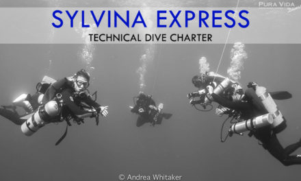 Sylvina Express Tec Charter