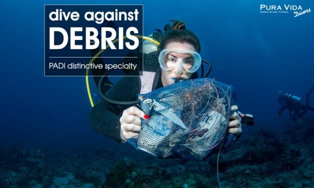 DIVE AGAINST DEBRIS