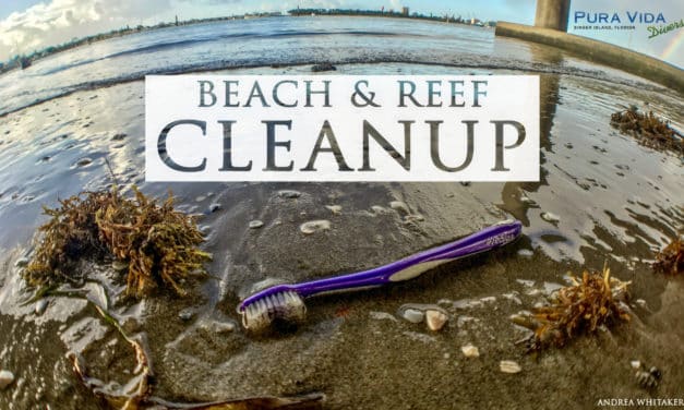 BEACH & REEF CLEANUP – VOLUNTEERS NEEDED!