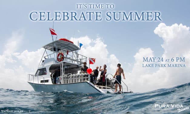 SUMMER CELEBRATION BBQ!