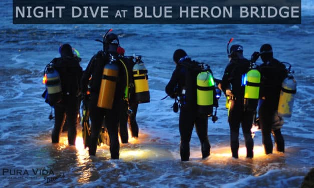 JUNE GUIDED NIGHT DIVE AT BLUE HERON BRIDGE