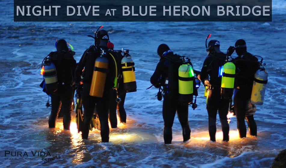JUNE GUIDED NIGHT DIVE AT BLUE HERON BRIDGE