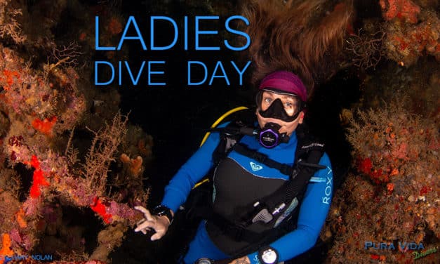WOMEN’S DIVE DAY