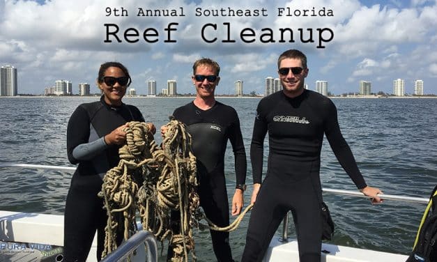 SOUTHEAST FLORIDA REEF CLEANUP