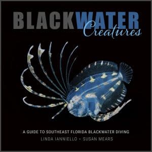 Blackwater Creatures