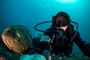 Goliath Grouper Selfie