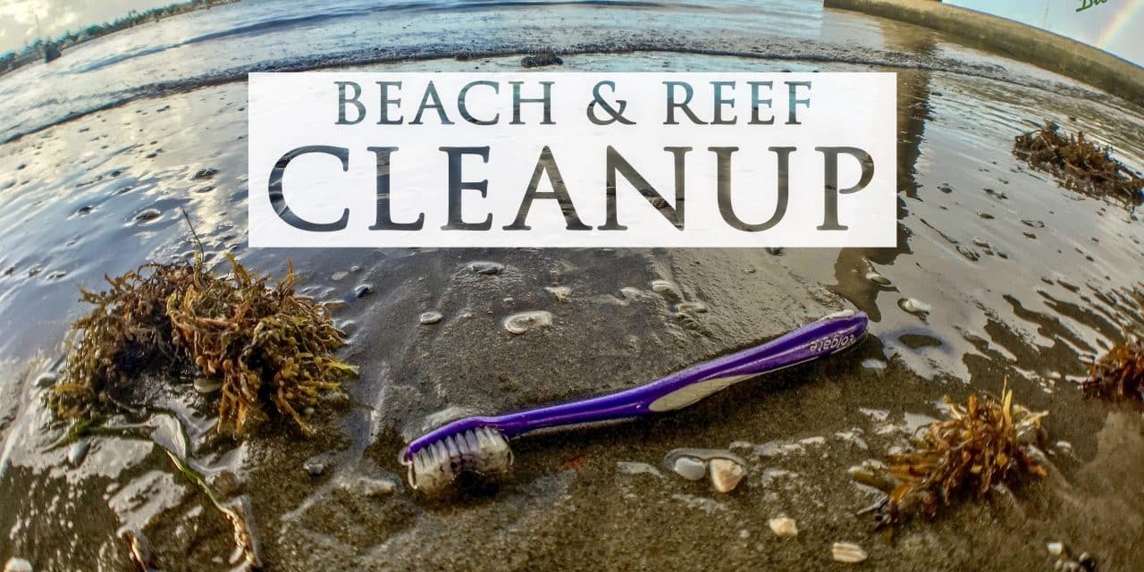 2019 INTERNATIONAL COASTAL CLEANUP