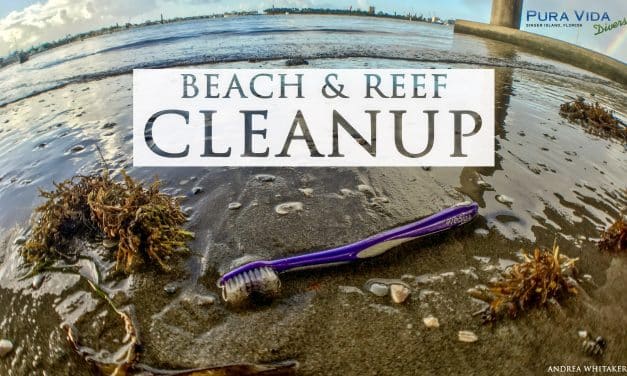 2019 INTERNATIONAL COASTAL CLEANUP