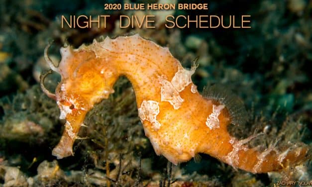 2020 BLUE HERON BRIDGE NIGHT DIVE SCHEDULE
