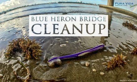 BEACH CLEANUP AT BLUE HERON BRIDGE