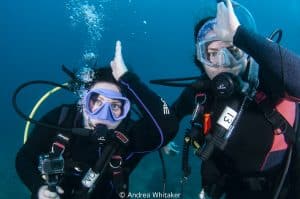 Palm Beach Shark Conservation Divers