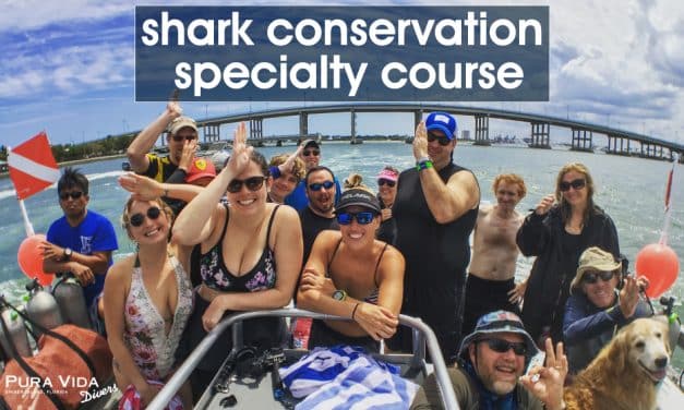 SHARK CONSERVATION SPECIALTY DIVER CLASS