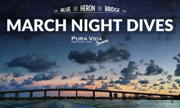 MARCH GUIDED NIGHT DIVES
