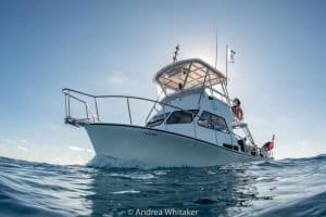 Dive Vessel Marin