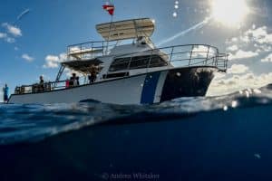 Dive Vessel Aurelia