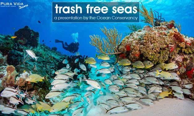 TRASH FREE SEAS
