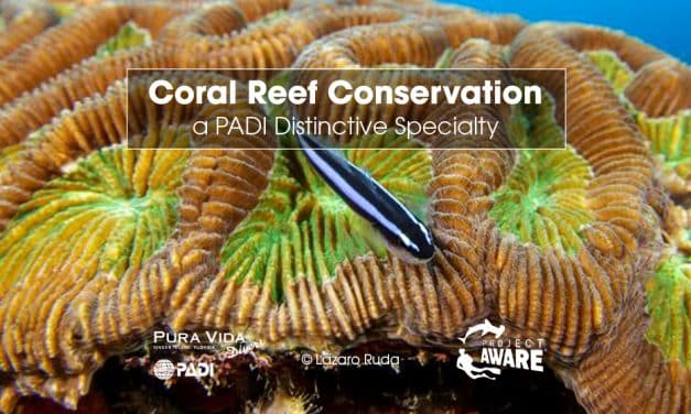 CORAL REEF CONSERVATION CLASS