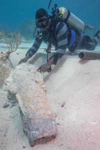 Recovering History - DWP Diver