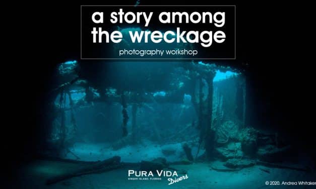 A STORY AMONG THE WRECKAGE: PHOTO WORKSHOP