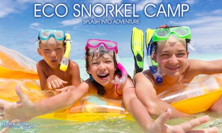 ECO SNORKEL CAMP