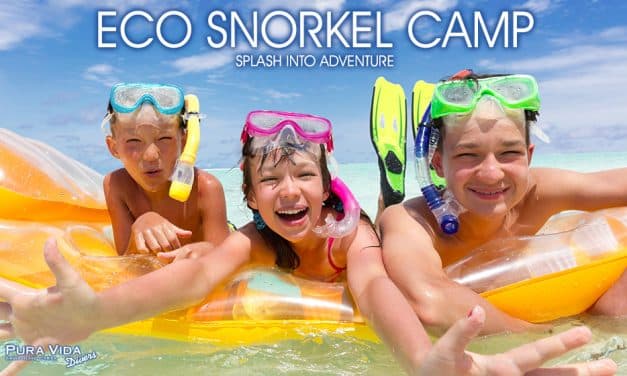 ECO SNORKEL CAMP