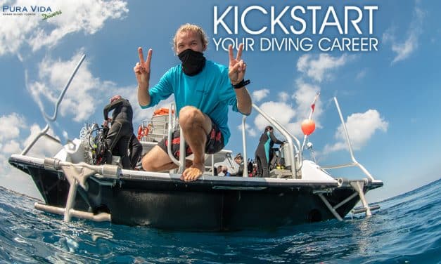 DIVEMASTER INTERNSHIP PROGRAM
