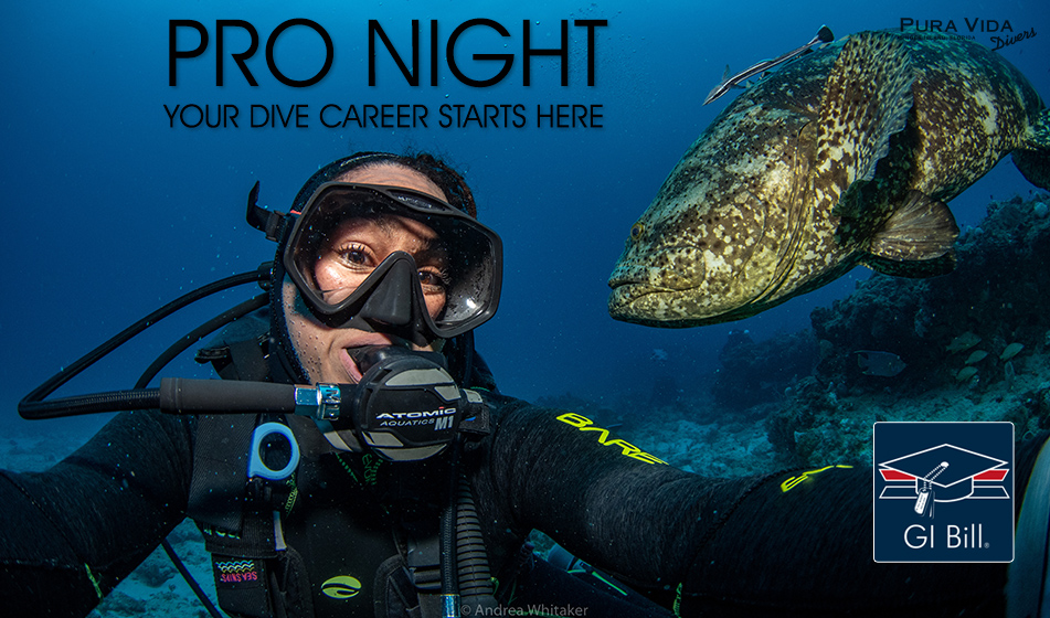 PADI PRO NIGHT