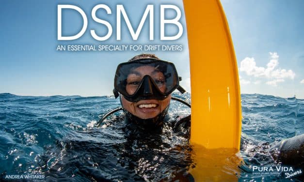 DSMB DIVER SPECIALTY: DIVERS BELOW