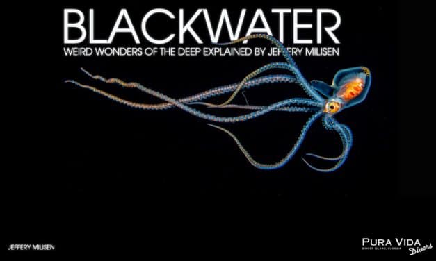 BLACKWATER: WEIRD WONDERS OF THE DEEP